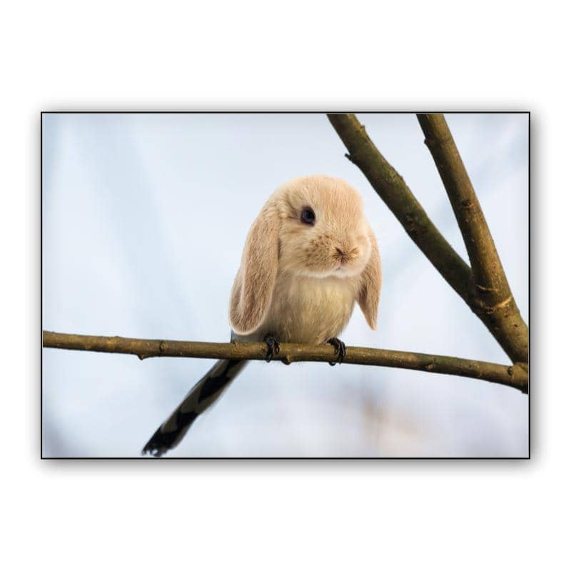 Burb preview