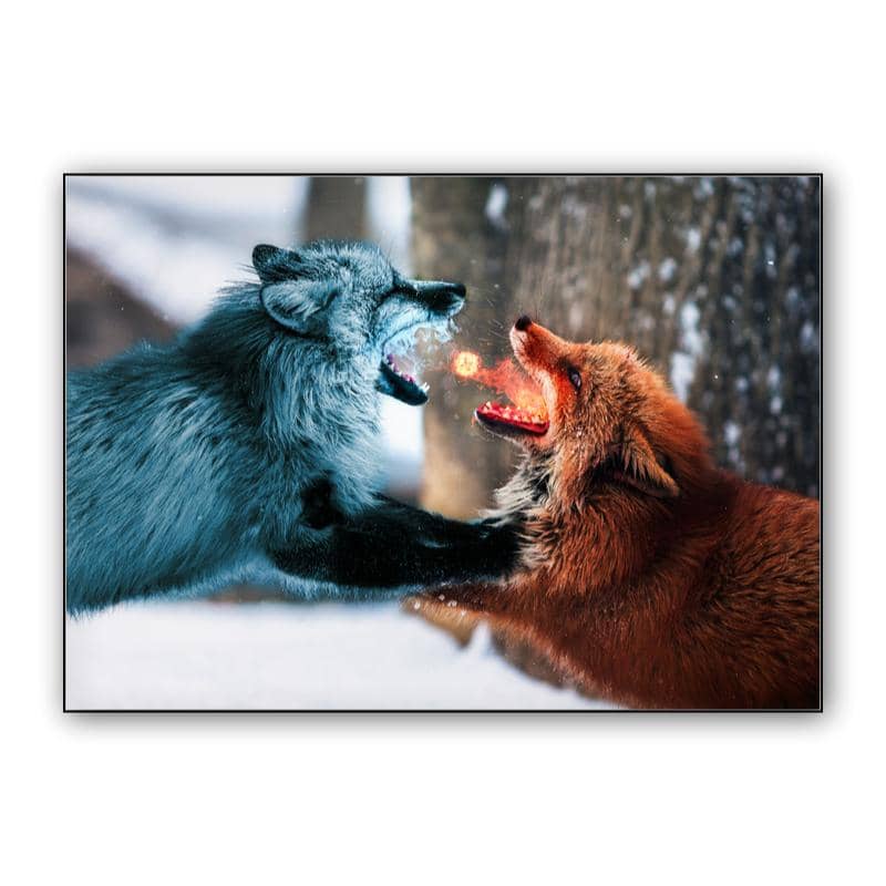 Fire vs. Ice preview