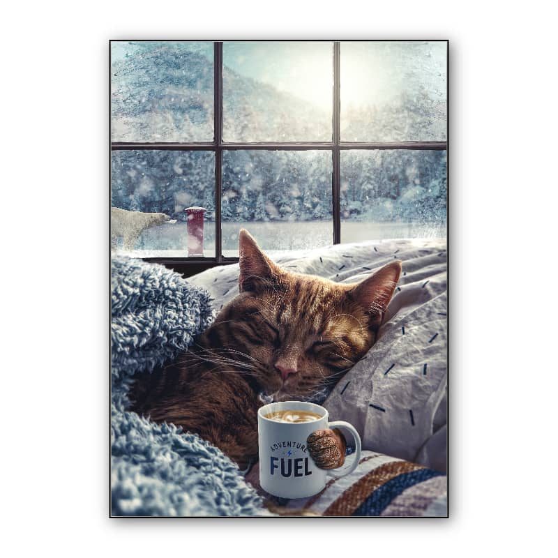 Winter Cat preview