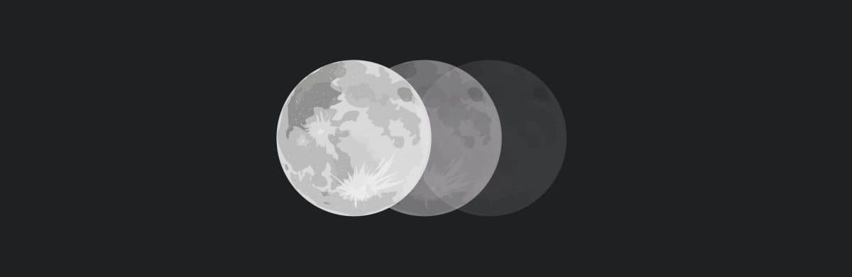 Store Banner