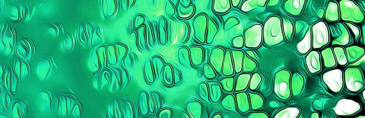 Store Banner