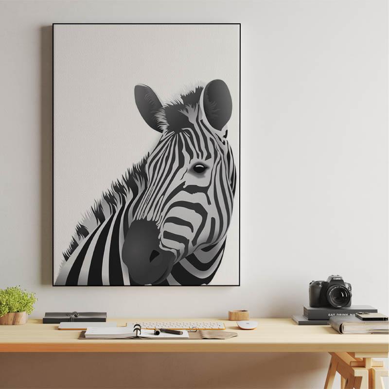 Zebra - white background