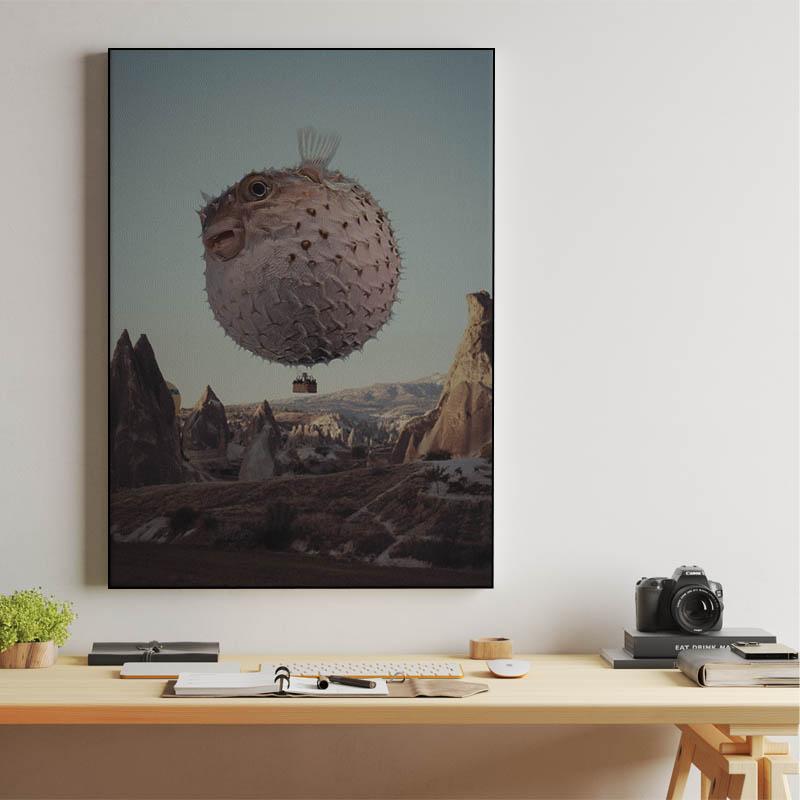 Travel notes of flying Dolphin