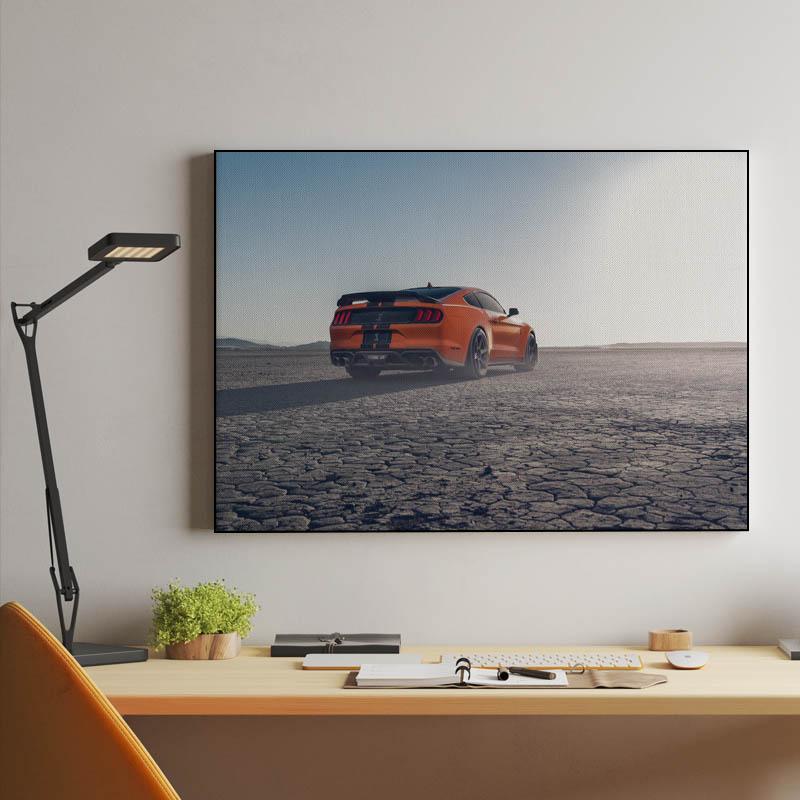 Ford Mustang Shelby GT500