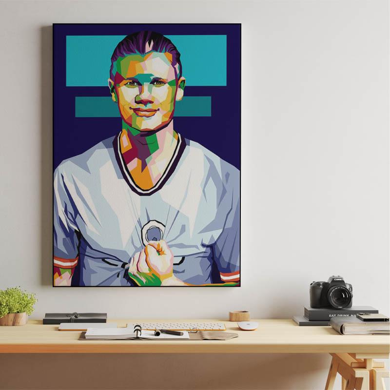 Erling Haaland in best illustration