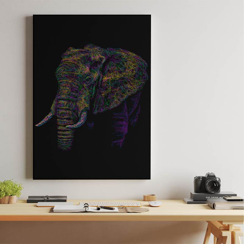 Elephant colorful
