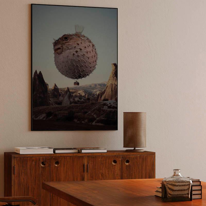 Travel notes of flying Dolphin