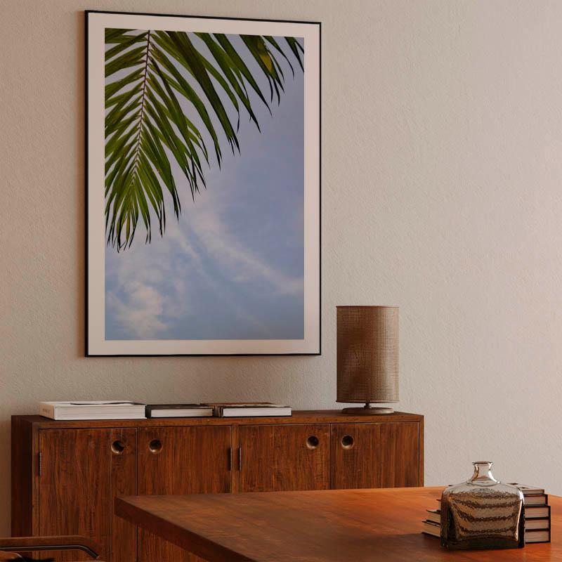 "A Green Palm Grove with the Blue Sky"