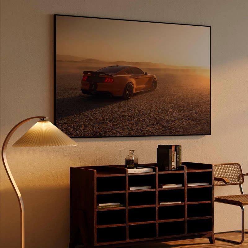 Ford Mustang Shelby GT500