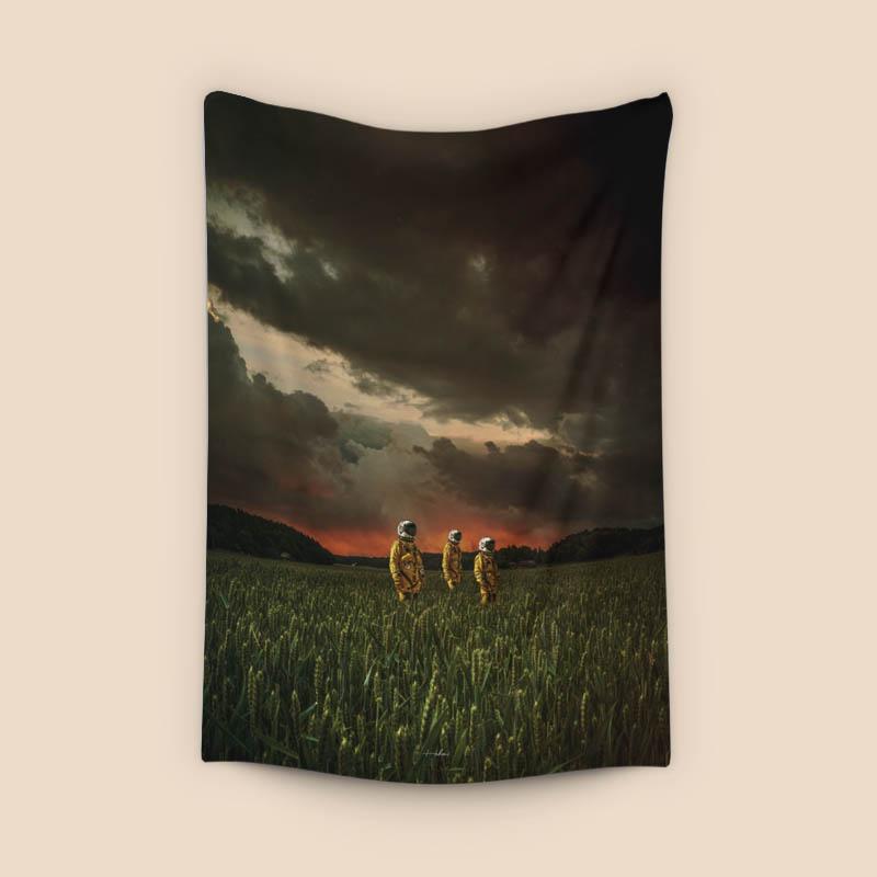 Everything is fields