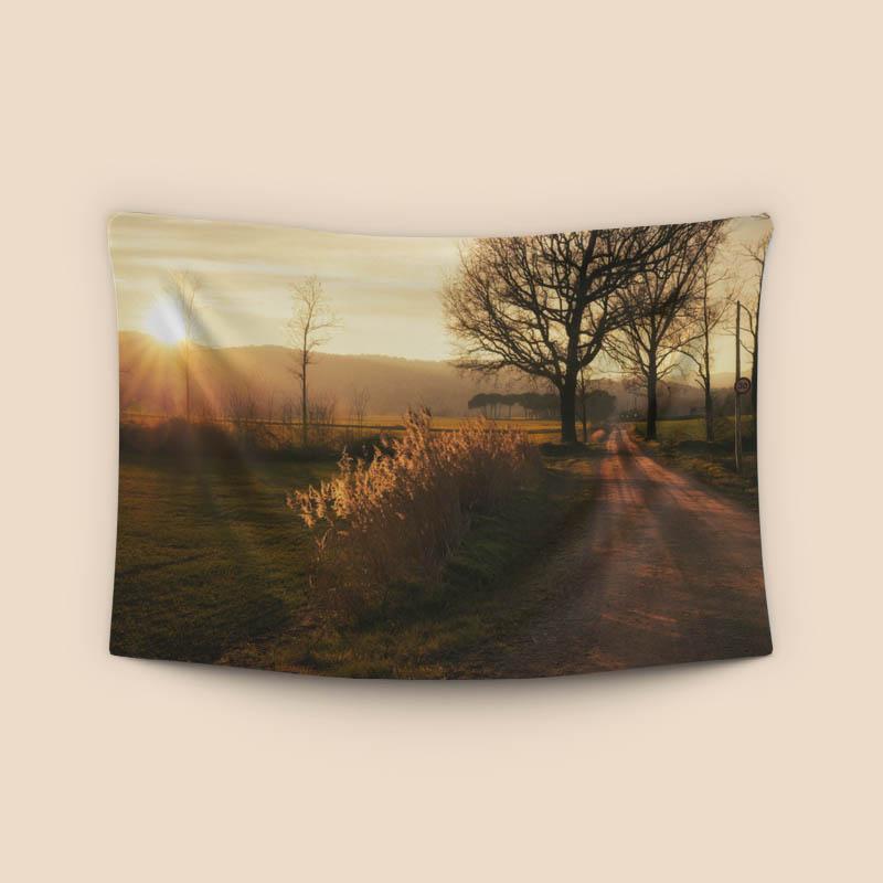 Rural road to Senfores, Malla, Catalonia