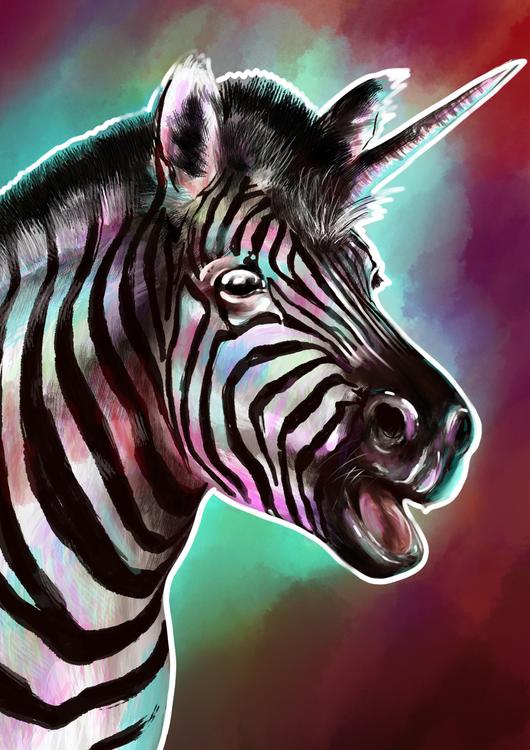 Zebra