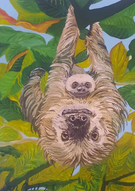 Mother and child Sloths