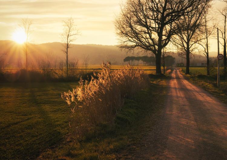 Rural road to Senfores, Malla, Catalonia