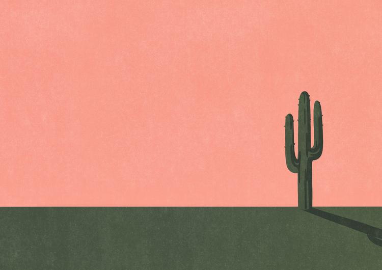 Lonely Cactus