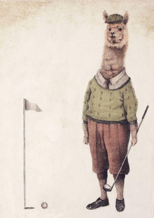 Alpaca golf Club