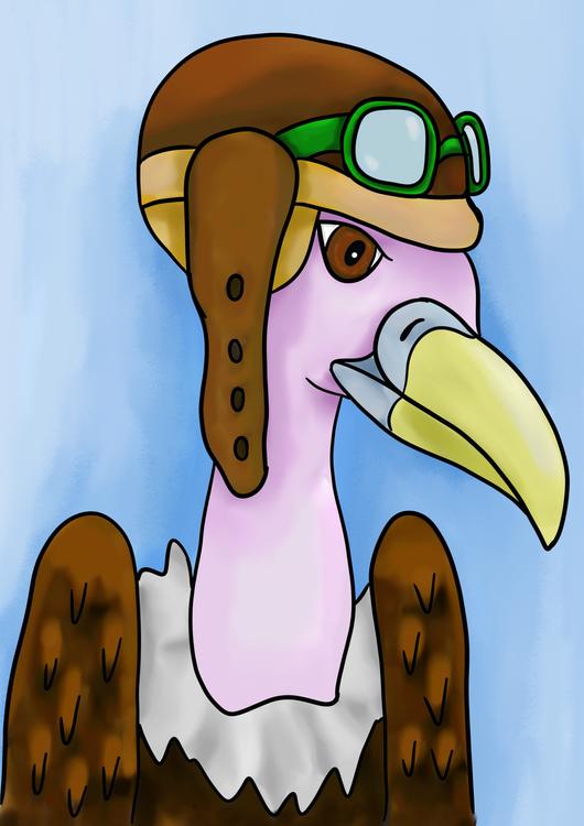 Pilot vulture