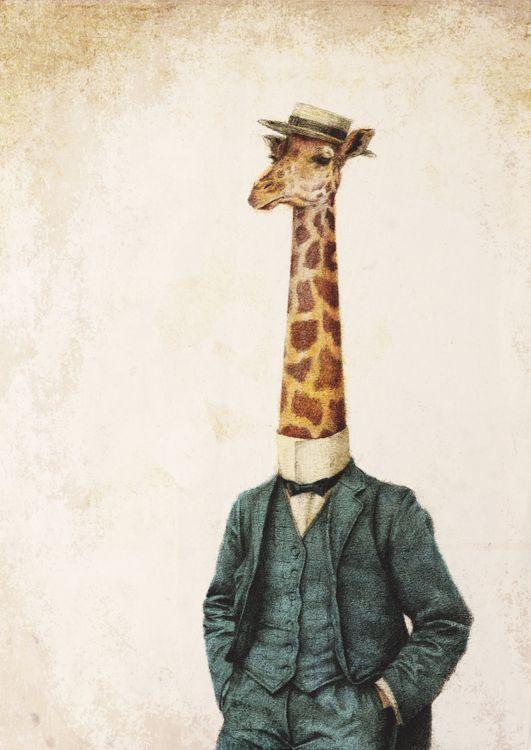 High Class Gentleman