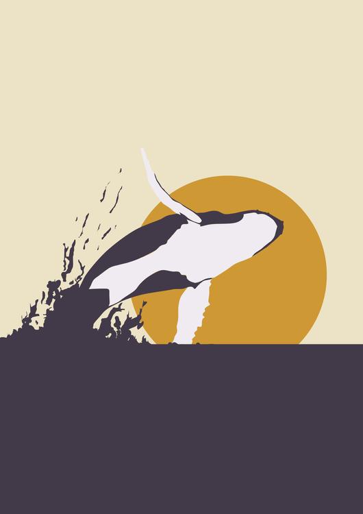 Humpback Whale and Sunset