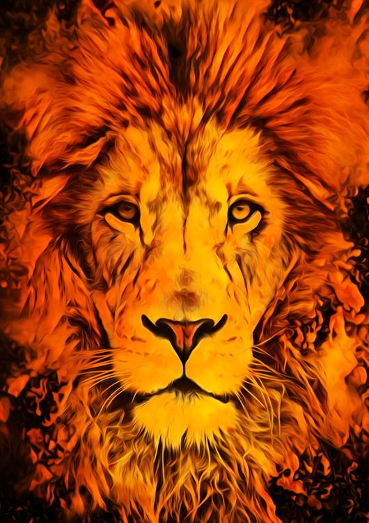 Lion Art