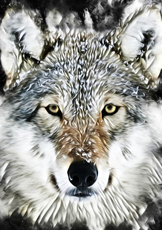 Wolf Art