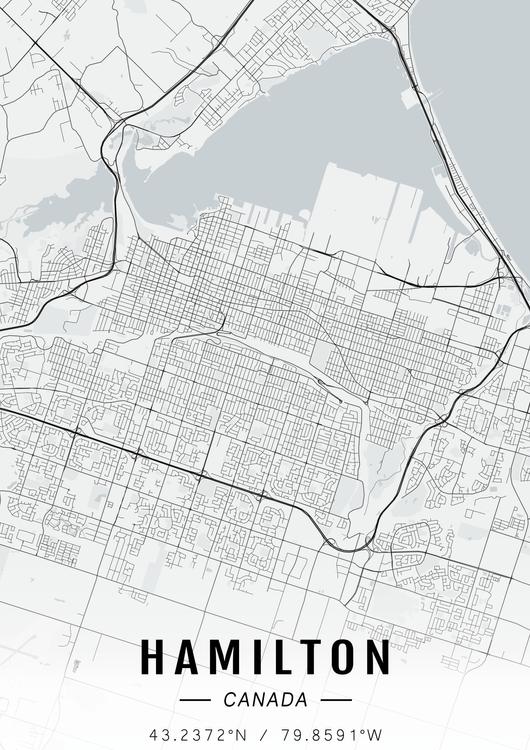 Hamilton map