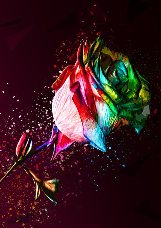 Colored Rose