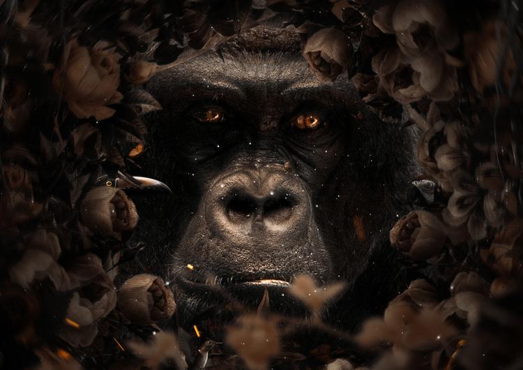 Floral Gorilla