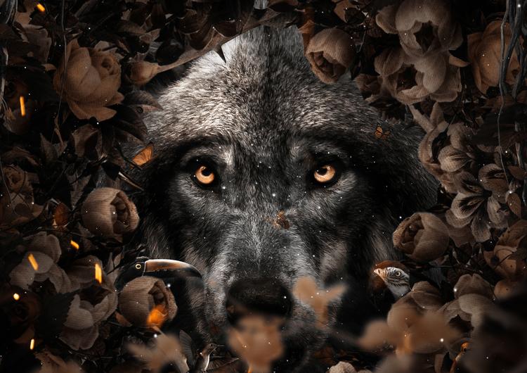 Floral Wolf
