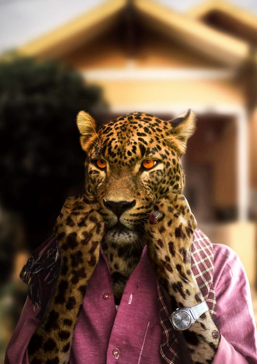 Leopard New Guise
