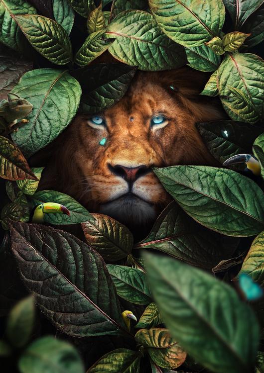 Lion in Leaves