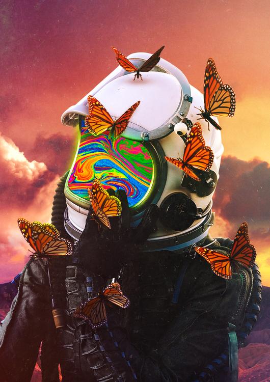 The thoughtful explorer