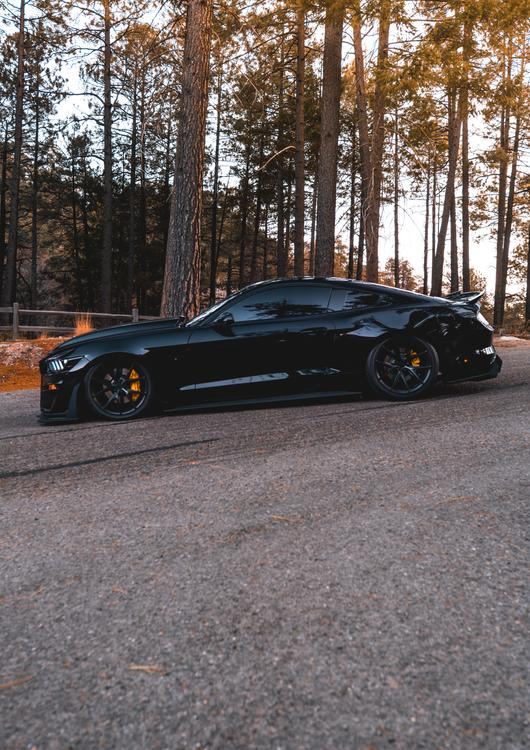 Ford Mustang Shelby GT500