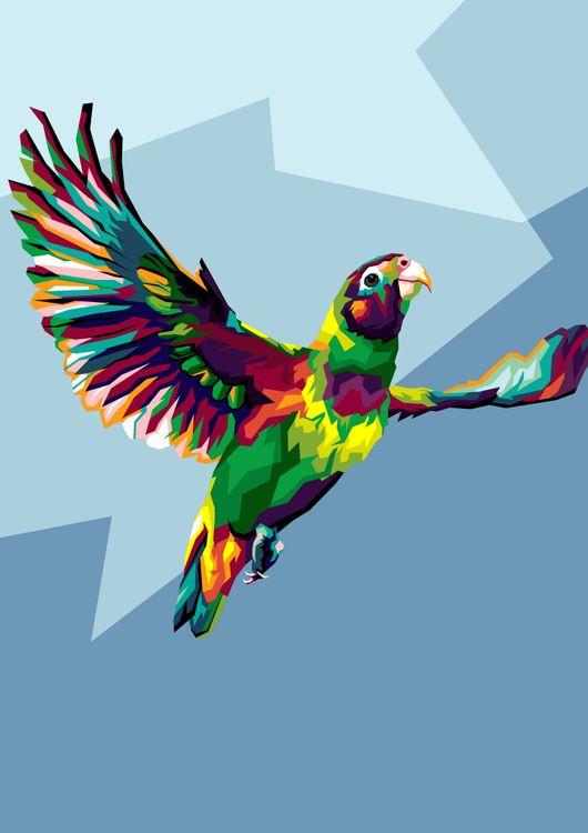 Colorfull bird parrot in wpap amazing