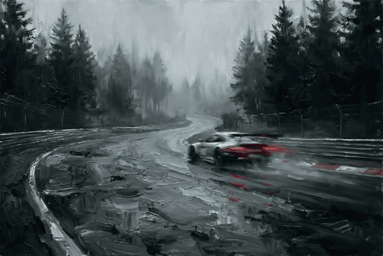 Grit and Grace: Nürburgring in the Rain