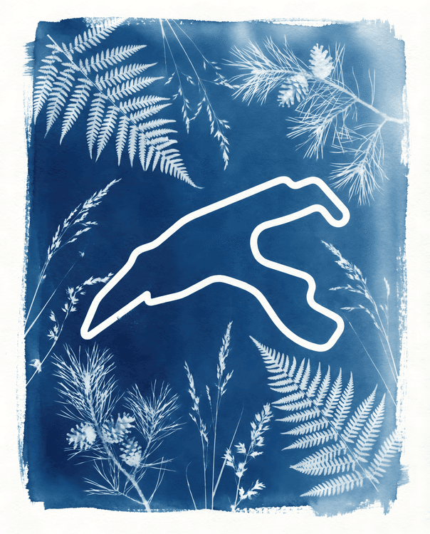 Blue Green Hell: Nürburgring Botanical Cyanotype