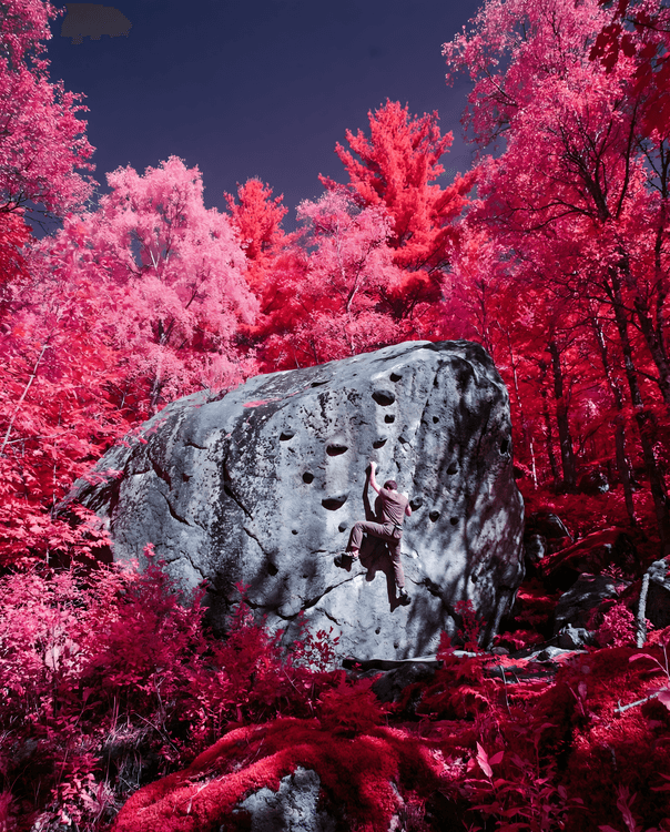 Magenta Ascent: Surreal Infrared Bouldering