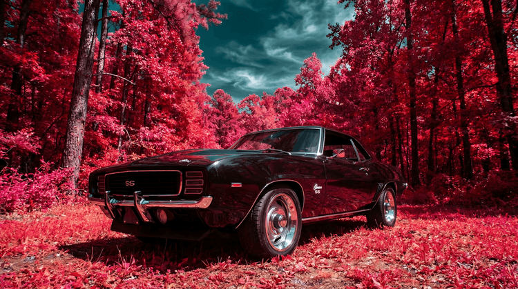 Camaro SS Crimson Forest Infrared