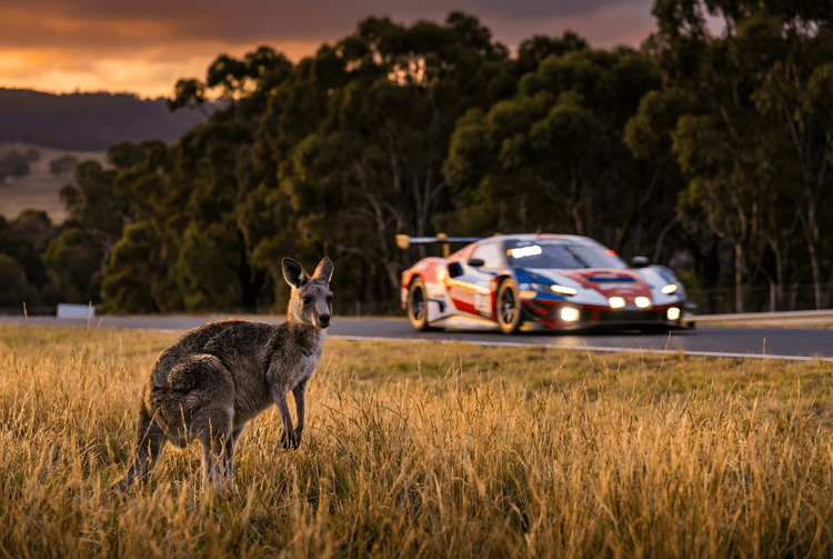 The Mountain Resident: Kangaroo and Ferrari at Bathurst