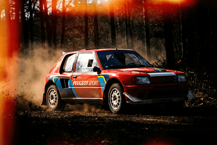 Peugeot 205 T16: Forest Stage Fire