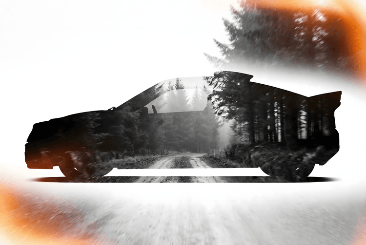 Forest Stage Phantom: Ford RS200 Double Exposure