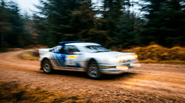 Forest Fury: Ford RS200 Group B Rally Action