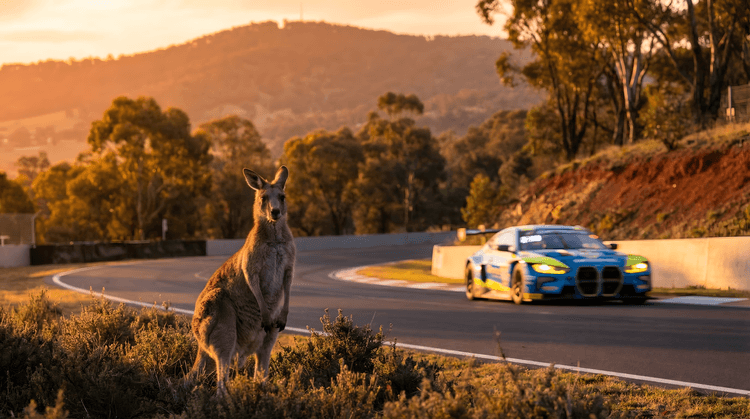 Sentinel of the Mountain