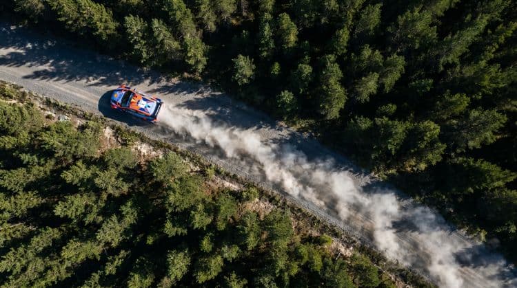 Rally Forest Dust Trail Aerial View