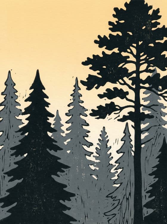 Twilight Forest Block Print