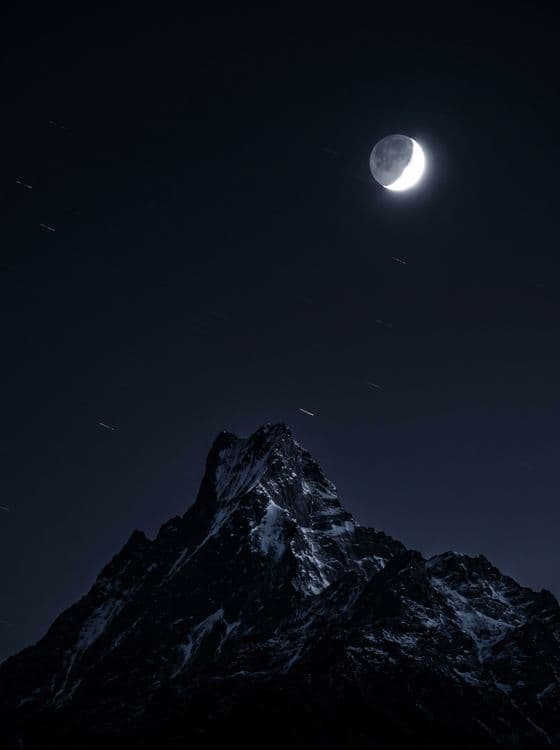 Himalayan Moonlight Majesty
