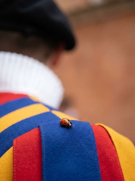 The Guard's Ladybug: Close-up of Swiss Guard Uniform