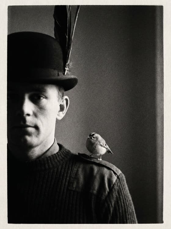 The King's Goldcrest: Norwegian Guard Portrait