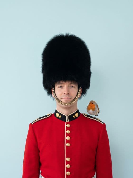 The Guard's Gentle Friend: British Guard with Robin