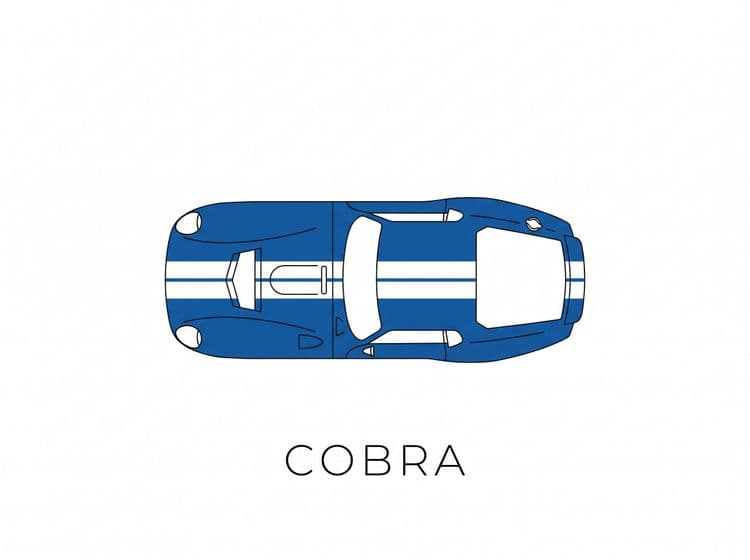 Shelby Cobra Daytona Coupe Minimalist Line Art